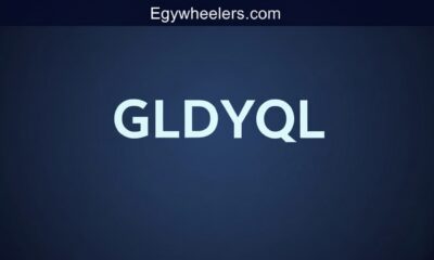 GLDYQL: A Complete Guide to Smart Digital Growth