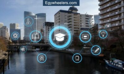 Edivawer: A Complete Guide to Meaning, Uses, and Benefits