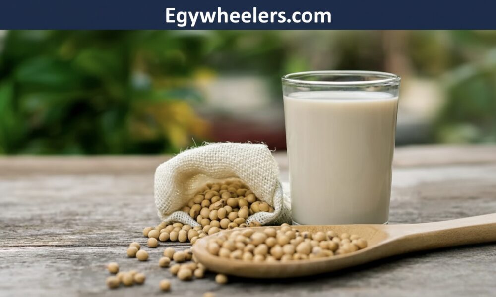 Insoya: Nutrition-Rich Soy Food for Healthy Living