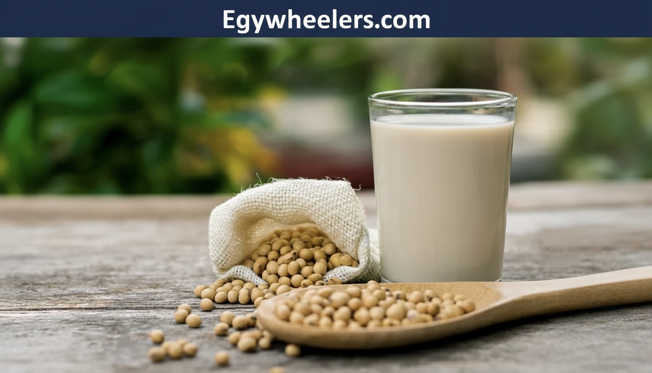 Insoya: Nutrition-Rich Soy Food for Healthy Living