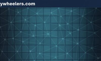 Pertadad: Meaning, Importance, Uses, and Future Scope