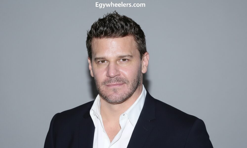 David Borhaz: A Deep Look Into Identity and Impact